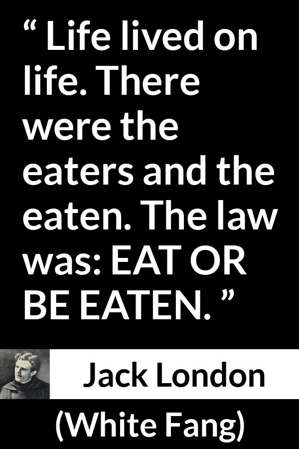 Jack London quote about life from White Fang - Life lived on life. There were the eaters and the eaten. The law was: EAT OR BE EATEN.