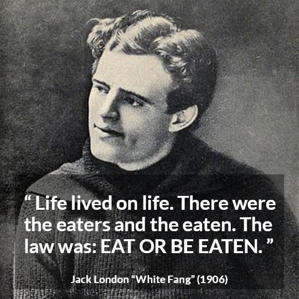 Jack London quote about life from White Fang - Life lived on life. There were the eaters and the eaten. The law was: EAT OR BE EATEN.