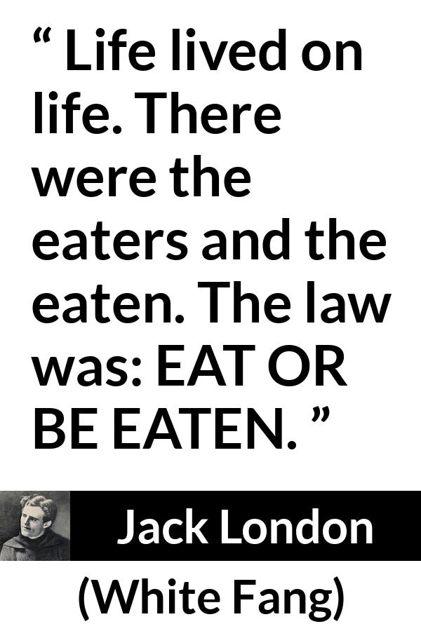 Jack London quote about life from White Fang - Life lived on life. There were the eaters and the eaten. The law was: EAT OR BE EATEN.