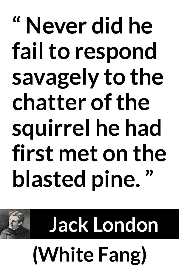 Jack London quote about nature from White Fang - Never did he fail to respond savagely to the chatter of the squirrel he had first met on the blasted pine.