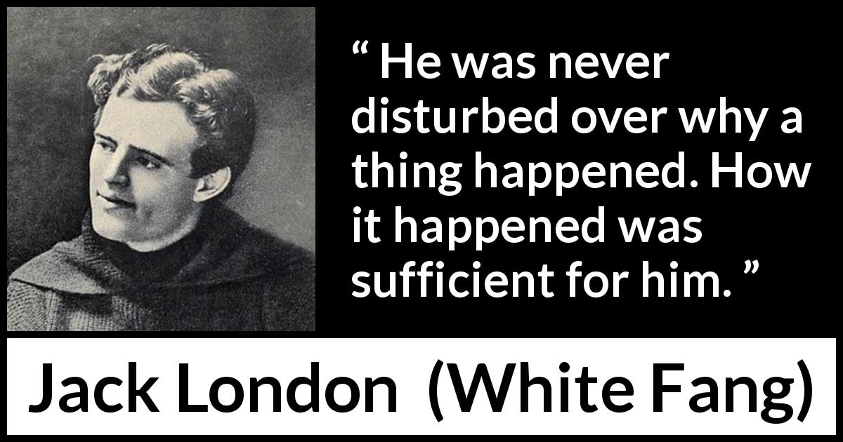 Jack London quote about question from White Fang - He was never disturbed over why a thing happened. How it happened was sufficient for him.