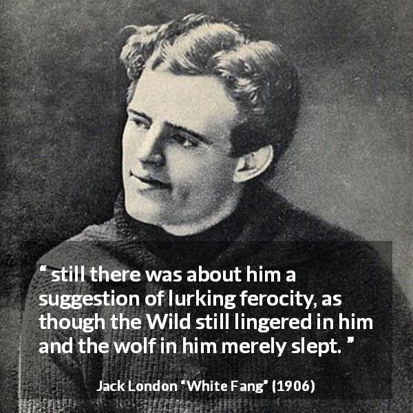 Jack London quote about wildness from White Fang - still there was about him a suggestion of lurking ferocity, as though the Wild still lingered in him and the wolf in him merely slept.