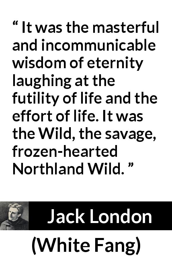 Jack London quote about wisdom from White Fang - It was the masterful and incommunicable wisdom of eternity laughing at the futility of life and the effort of life. It was the Wild, the savage, frozen-hearted Northland Wild.