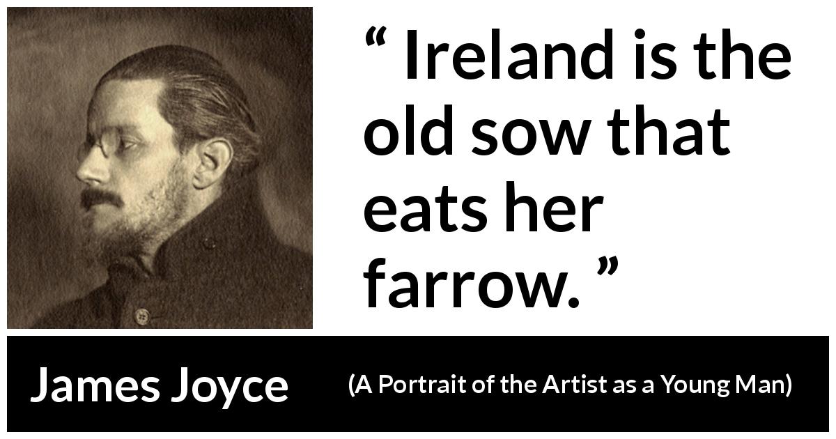 James Joyce quote about Ireland from A Portrait of the Artist as a Young Man - Ireland is the old sow that eats her farrow.