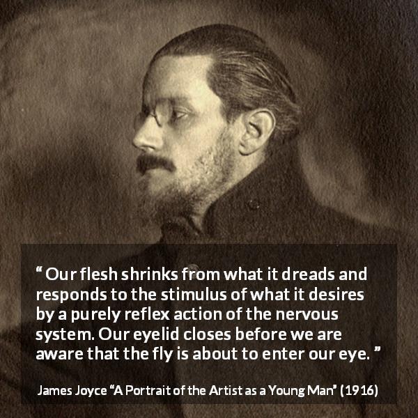 James Joyce quote about desire from A Portrait of the Artist as a Young Man - Our flesh shrinks from what it dreads and responds to the stimulus of what it desires by a purely reflex action of the nervous system. Our eyelid closes before we are aware that the fly is about to enter our eye.