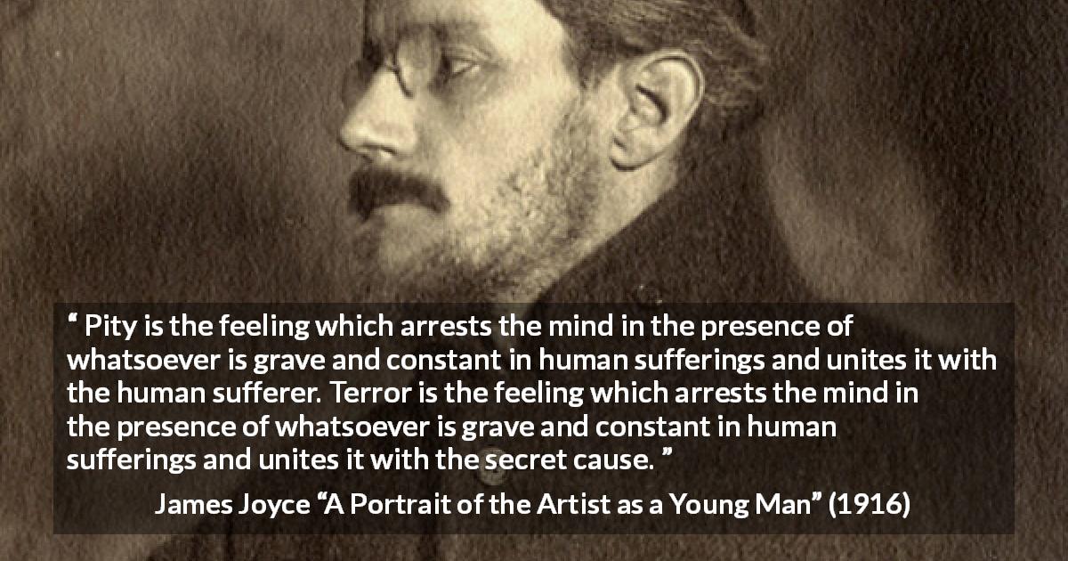 James Joyce quote about pity from A Portrait of the Artist as a Young Man - Pity is the feeling which arrests the mind in the presence of whatsoever is grave and constant in human sufferings and unites it with the human sufferer. Terror is the feeling which arrests the mind in the presence of whatsoever is grave and constant in human sufferings and unites it with the secret cause.
