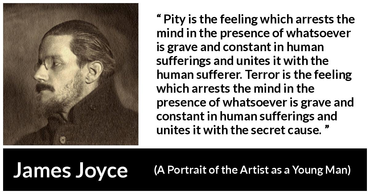 James Joyce quote about pity from A Portrait of the Artist as a Young Man - Pity is the feeling which arrests the mind in the presence of whatsoever is grave and constant in human sufferings and unites it with the human sufferer. Terror is the feeling which arrests the mind in the presence of whatsoever is grave and constant in human sufferings and unites it with the secret cause.