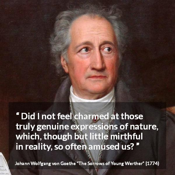 Johann Wolfgang von Goethe quote about amusement from The Sorrows of Young Werther - Did I not feel charmed at those truly genuine expressions of nature, which, though but little mirthful in reality, so often amused us?