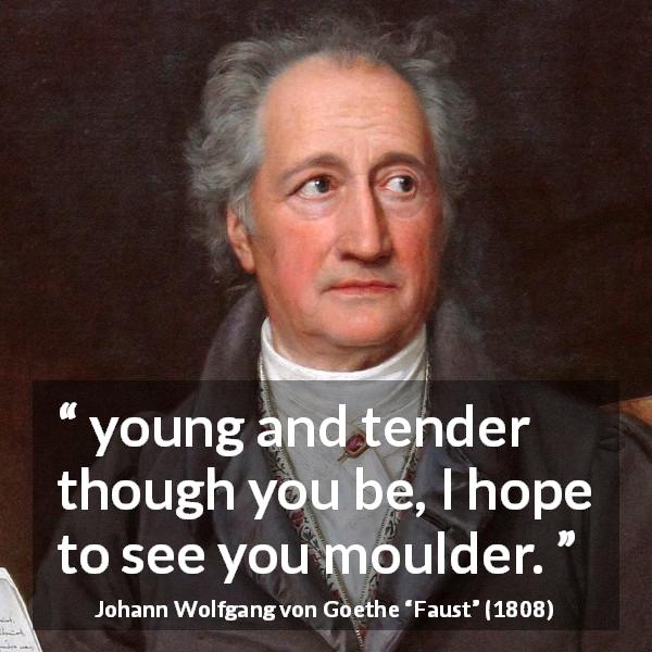 Johann Wolfgang von Goethe quote about youth from Faust - young and tender though you be, I hope to see you moulder.
