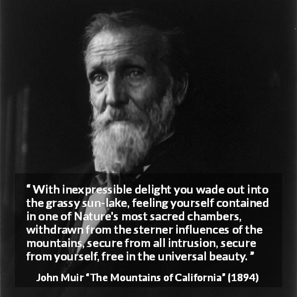 John Muir quote about beauty from The Mountains of California - With inexpressible delight you wade out into the grassy sun-lake, feeling yourself contained in one of Nature's most sacred chambers, withdrawn from the sterner influences of the mountains, secure from all intrusion, secure from yourself, free in the universal beauty.