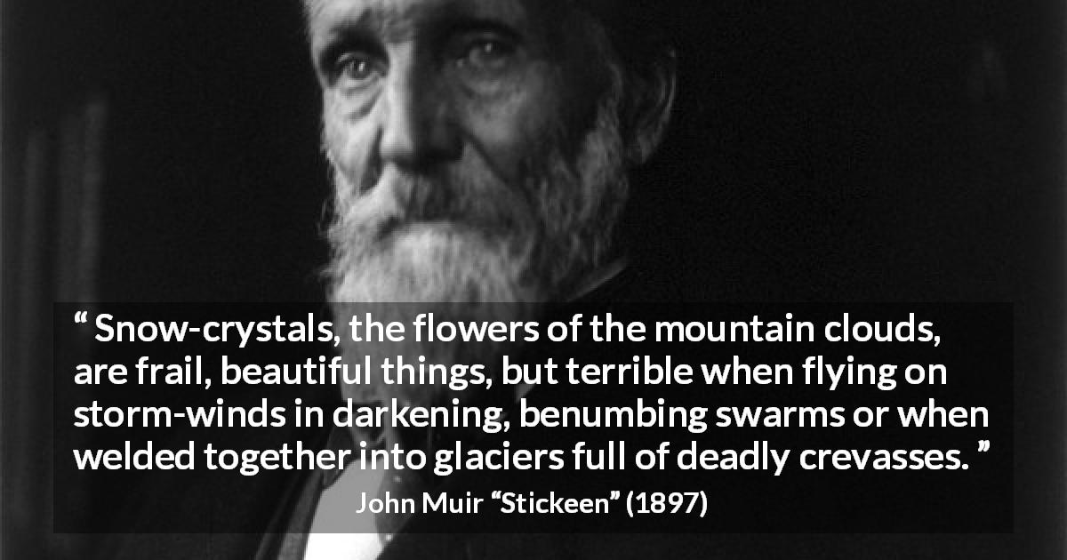 John Muir quote about danger from Stickeen - Snow-crystals, the flowers of the mountain clouds, are frail, beautiful things, but terrible when flying on storm-winds in darkening, benumbing swarms or when welded together into glaciers full of deadly crevasses.