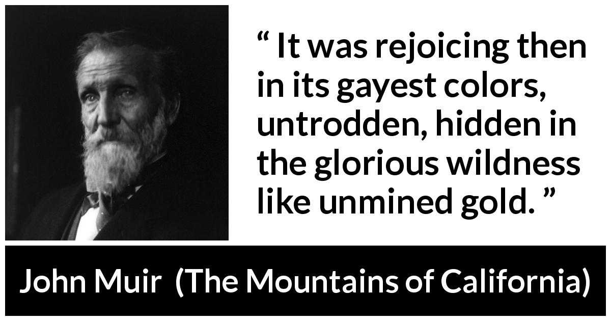John Muir quote about gold from The Mountains of California - It was rejoicing then in its gayest colors, untrodden, hidden in the glorious wildness like unmined gold.