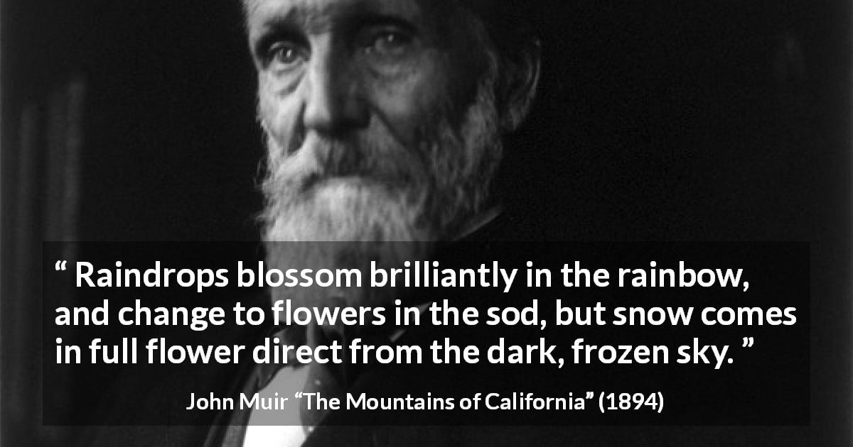 John Muir quote about nature from The Mountains of California - Raindrops blossom brilliantly in the rainbow, and change to flowers in the sod, but snow comes in full flower direct from the dark, frozen sky.