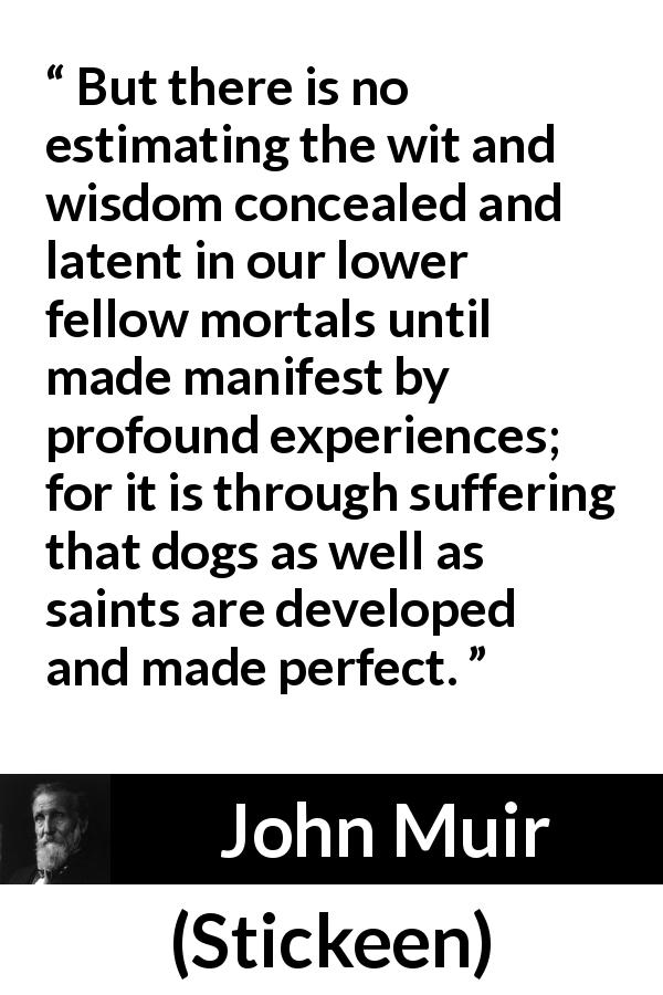 John Muir quote about wisdom from Stickeen - But there is no estimating the wit and wisdom concealed and latent in our lower fellow mortals until made manifest by profound experiences; for it is through suffering that dogs as well as saints are developed and made perfect.