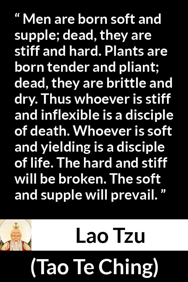 Lao Tzu quote about hardness from Tao Te Ching - Men are born soft and supple; dead, they are stiff and hard. Plants are born tender and pliant; dead, they are brittle and dry. Thus whoever is stiff and inflexible is a disciple of death. Whoever is soft and yielding is a disciple of life. The hard and stiff will be broken. The soft and supple will prevail.