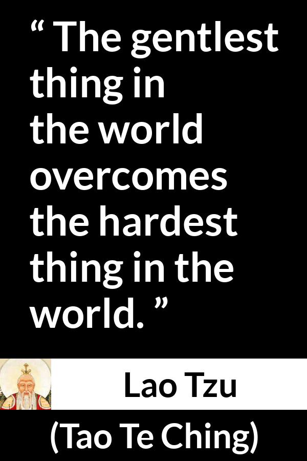 Lao Tzu quote about kindness from Tao Te Ching - The gentlest thing in the world overcomes the hardest thing in the world.