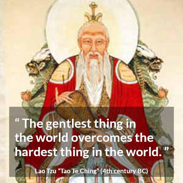 Lao Tzu quote about kindness from Tao Te Ching - The gentlest thing in the world overcomes the hardest thing in the world.