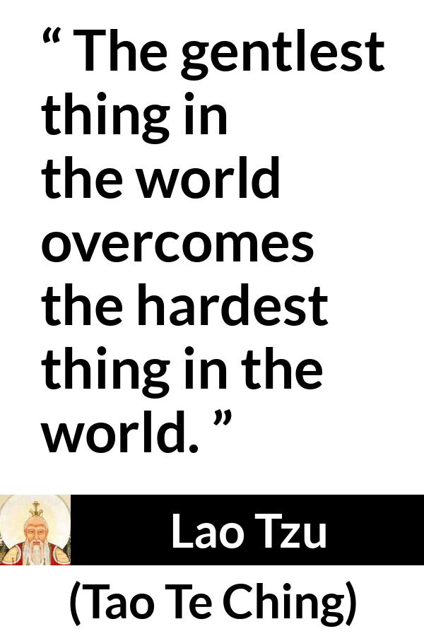 Lao Tzu quote about kindness from Tao Te Ching - The gentlest thing in the world overcomes the hardest thing in the world.