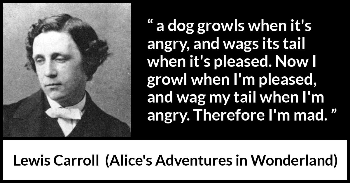 Lewis Carroll quote about madness from Alice's Adventures in Wonderland - a dog growls when it's angry, and wags its tail when it's pleased. Now I growl when I'm pleased, and wag my tail when I'm angry. Therefore I'm mad.