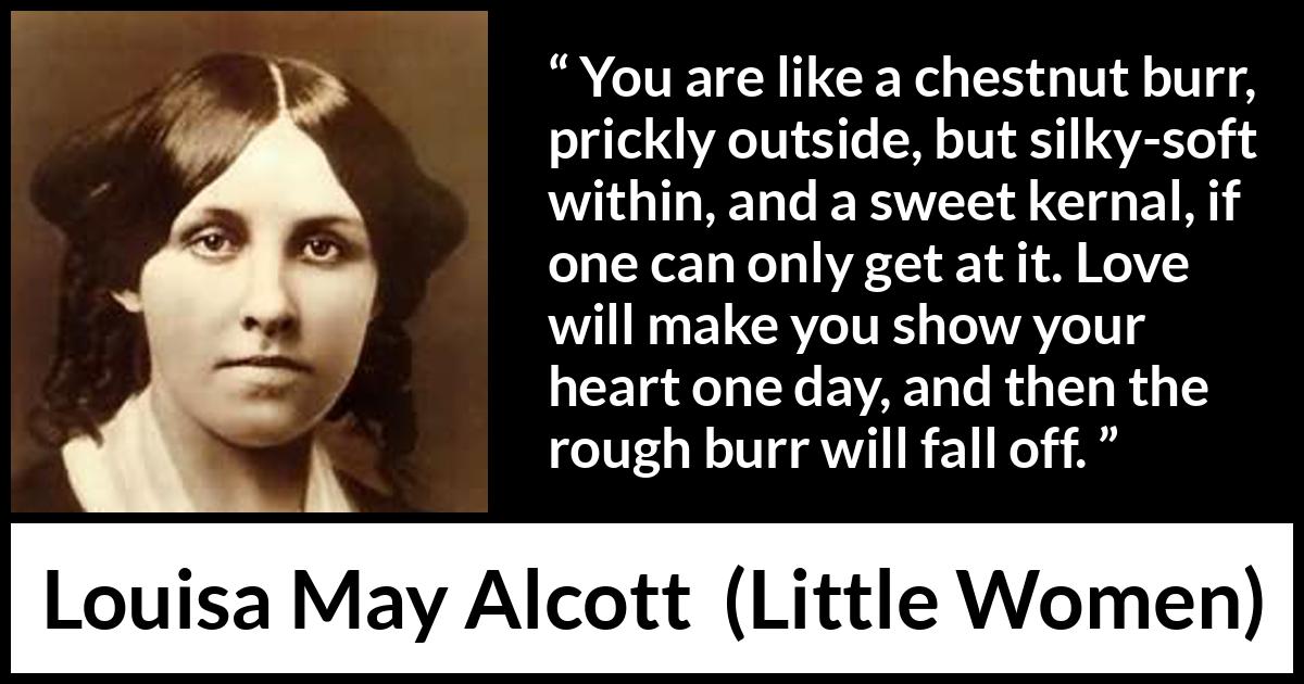 Louisa May Alcott quote about love from Little Women - You are like a chestnut burr, prickly outside, but silky-soft within, and a sweet kernal, if one can only get at it. Love will make you show your heart one day, and then the rough burr will fall off.