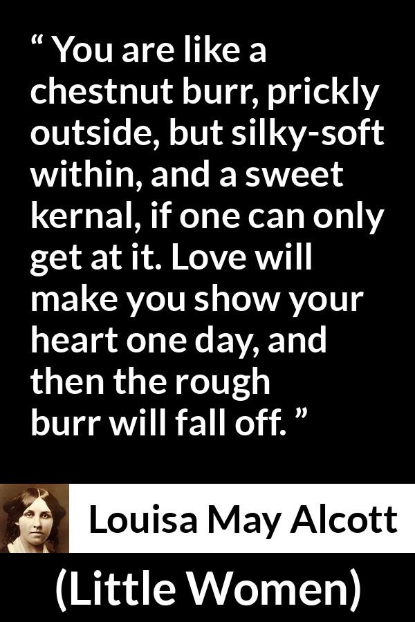 Louisa May Alcott quote about love from Little Women - You are like a chestnut burr, prickly outside, but silky-soft within, and a sweet kernal, if one can only get at it. Love will make you show your heart one day, and then the rough burr will fall off.