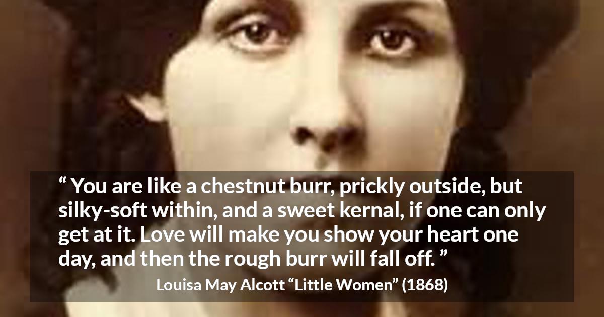 Louisa May Alcott quote about love from Little Women - You are like a chestnut burr, prickly outside, but silky-soft within, and a sweet kernal, if one can only get at it. Love will make you show your heart one day, and then the rough burr will fall off.