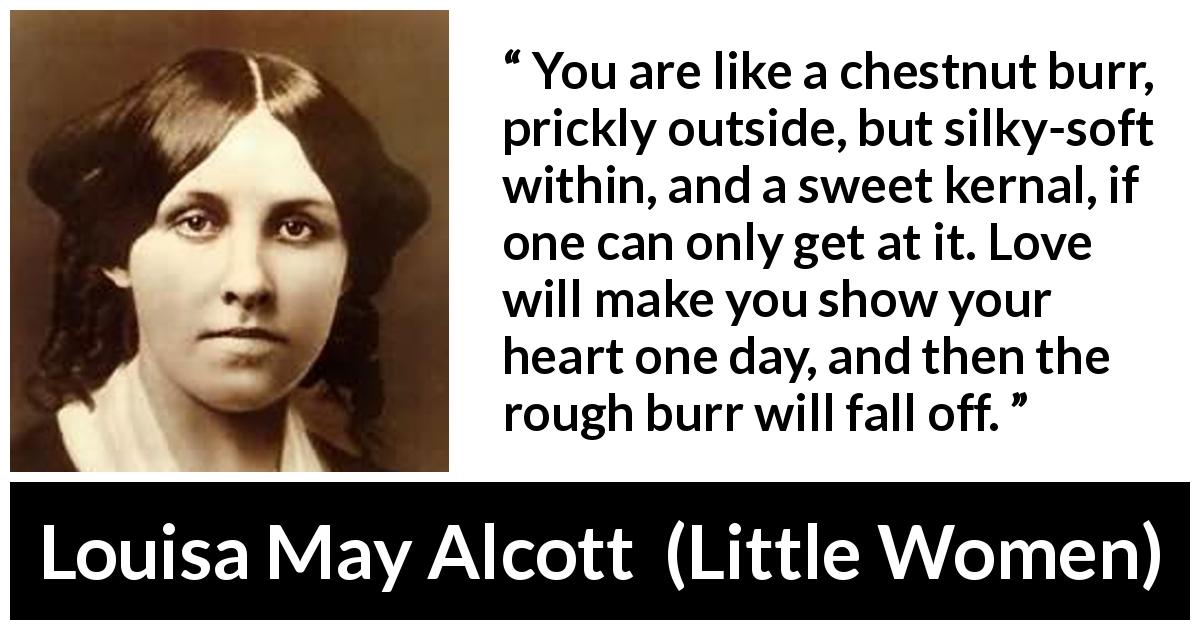Louisa May Alcott quote about love from Little Women - You are like a chestnut burr, prickly outside, but silky-soft within, and a sweet kernal, if one can only get at it. Love will make you show your heart one day, and then the rough burr will fall off.