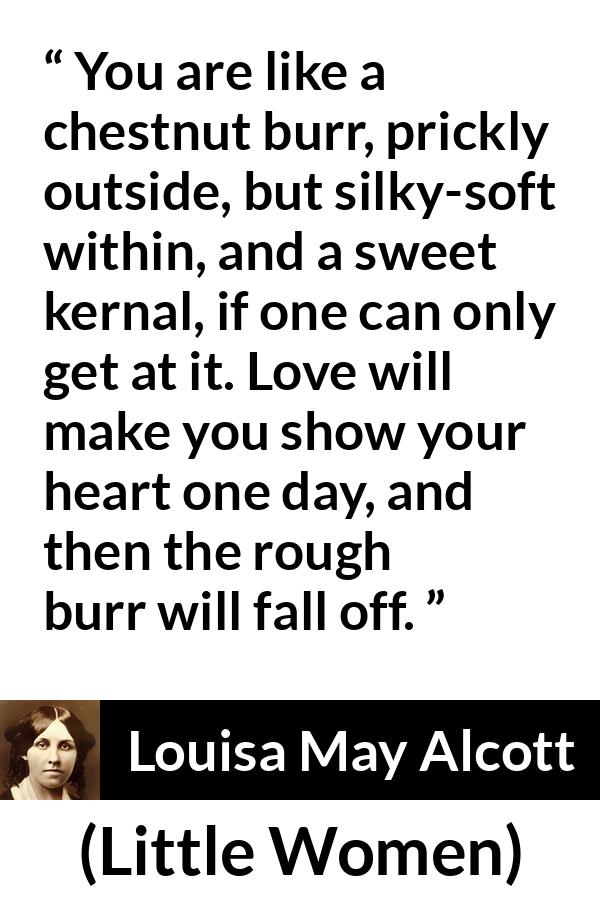 Louisa May Alcott quote about love from Little Women - You are like a chestnut burr, prickly outside, but silky-soft within, and a sweet kernal, if one can only get at it. Love will make you show your heart one day, and then the rough burr will fall off.