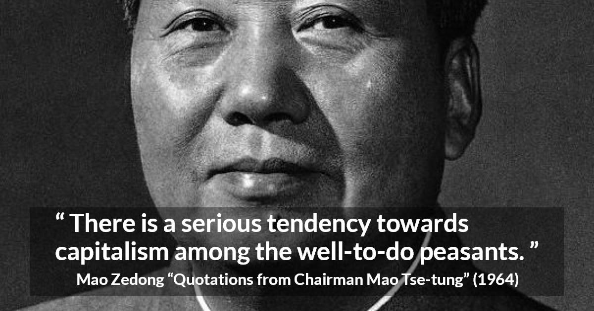 There Is A Serious Tendency Towards Capitalism Among The Well To Do Peasants Kwize
