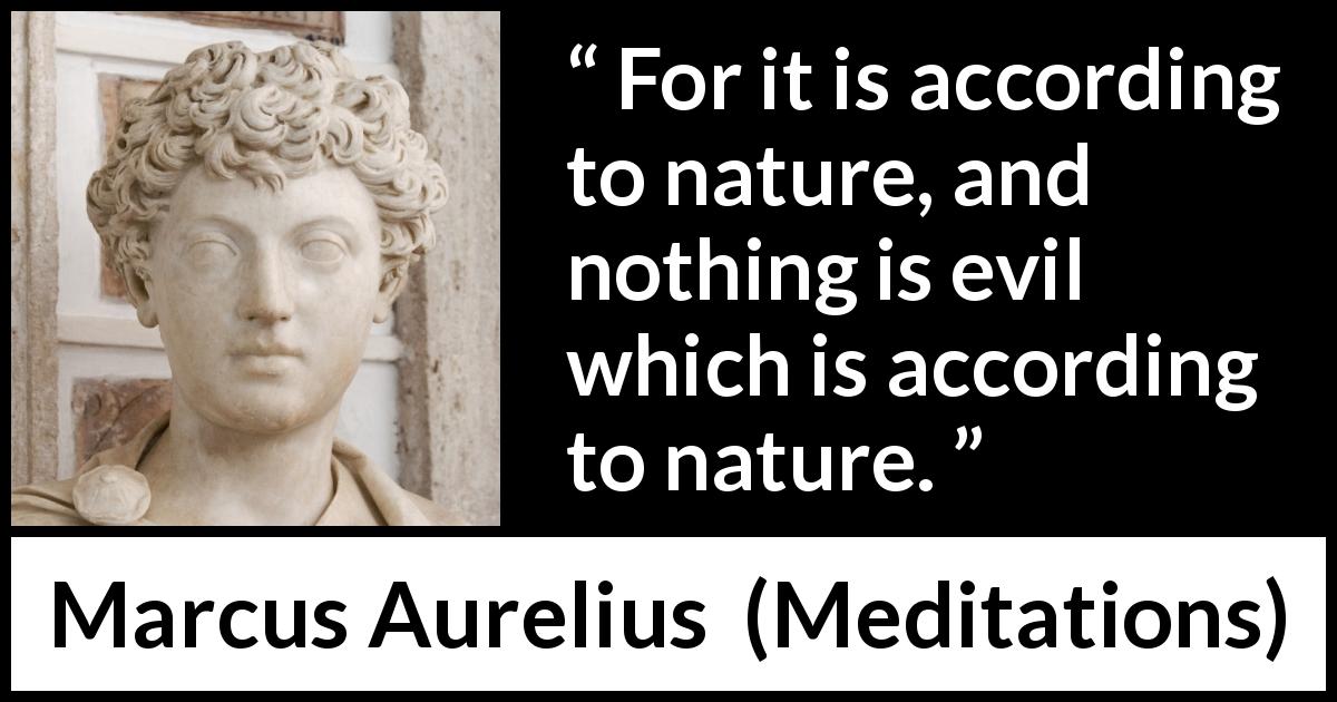 Marcus Aurelius quote about evil from Meditations - For it is according to nature, and nothing is evil which is according to nature.