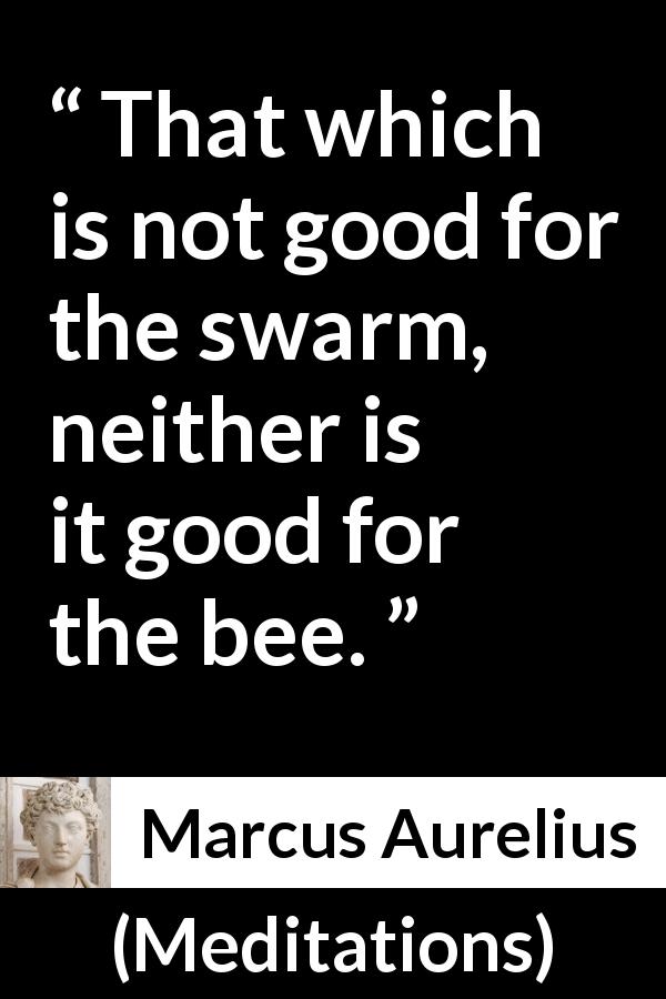 Marcus Aurelius quote about goodness from Meditations - That which is not good for the swarm, neither is it good for the bee.