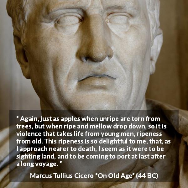 Marcus Tullius Cicero quote about violence from On Old Age - Again, just as apples when unripe are torn from trees, but when ripe and mellow drop down, so it is violence that takes life from young men, ripeness from old. This ripeness is so delightful to me, that, as I approach nearer to death, I seem as it were to be sighting land, and to be coming to port at last after a long voyage.