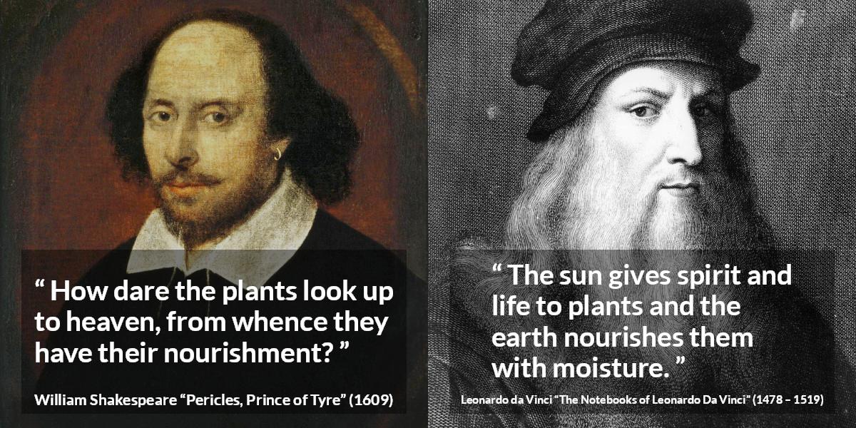 Plants quotes - Kwize