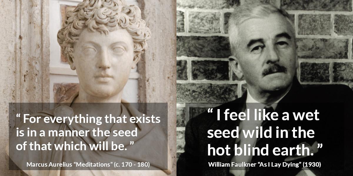 Seed quotes - Kwize