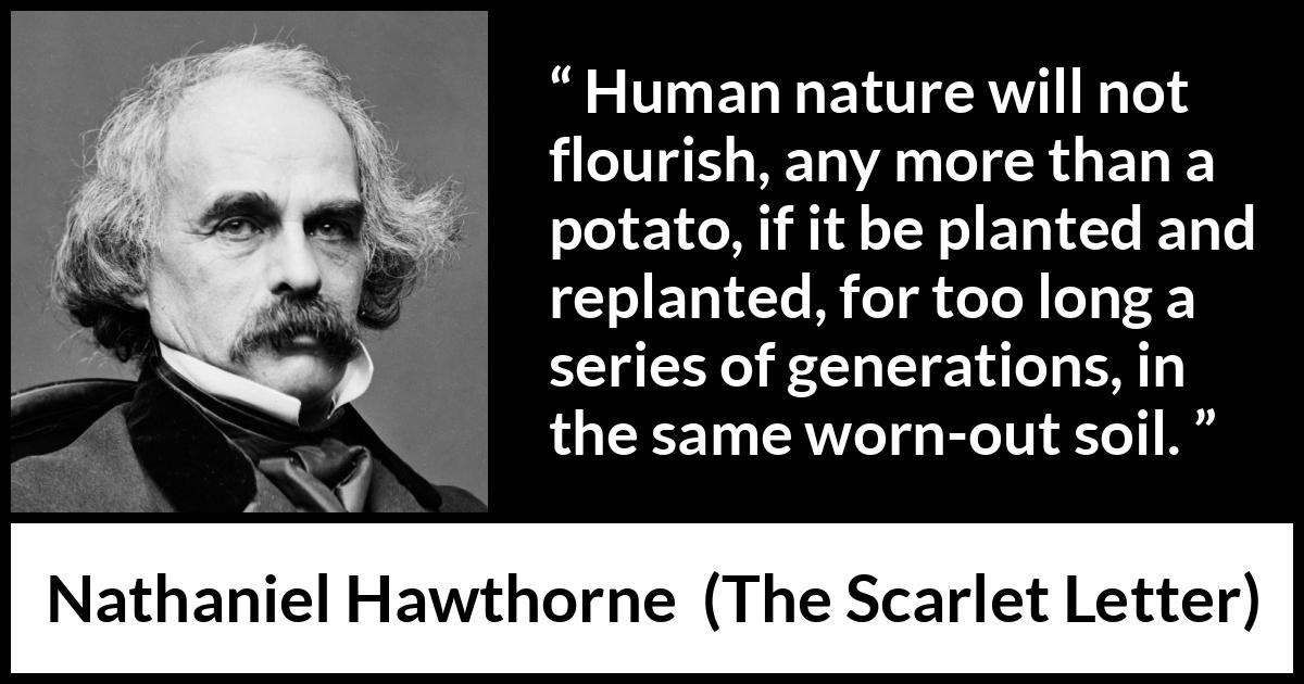 Nathaniel Hawthorne quote about humanity from The Scarlet Letter - Human nature will not flourish, any more than a potato, if it be planted and replanted, for too long a series of generations, in the same worn-out soil.