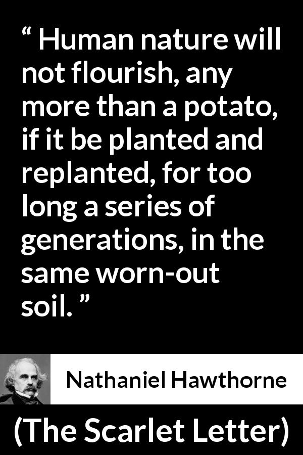 Nathaniel Hawthorne quote about humanity from The Scarlet Letter - Human nature will not flourish, any more than a potato, if it be planted and replanted, for too long a series of generations, in the same worn-out soil.