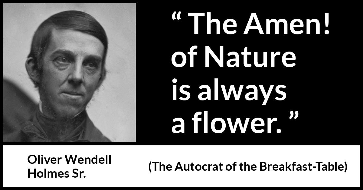 Oliver Wendell Holmes Sr. quote about flower from The Autocrat of the Breakfast-Table (1858) Oliver Wendell Holmes Sr. quote about flower from The Autocrat of the Breakfast-Table (1858) - The Amen! of Nature is always a flower.