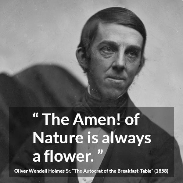 Oliver Wendell Holmes Sr. quote about flower from The Autocrat of the Breakfast-Table (1858) - The Amen! of Nature is always a flower.