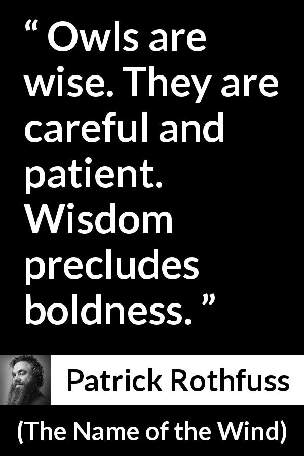 Patrick Rothfuss quote about wisdom from The Name of the Wind - Owls are wise. They are careful and patient. Wisdom precludes boldness.