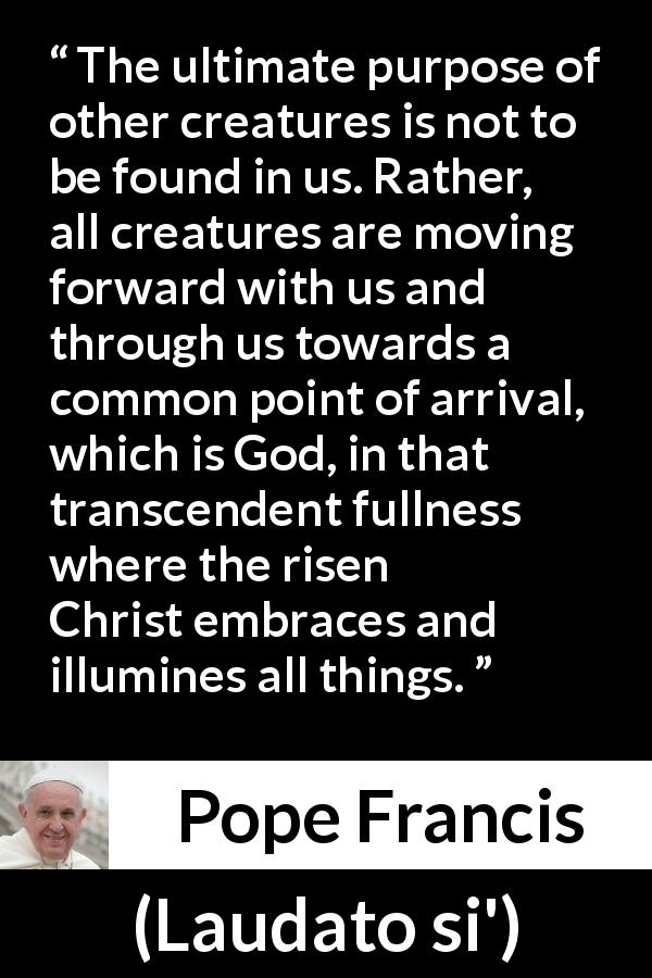 Pope Francis quote about God from Laudato si' - The ultimate purpose of other creatures is not to be found in us. Rather, all creatures are moving forward with us and through us towards a common point of arrival, which is God, in that transcendent fullness where the risen Christ embraces and illumines all things.