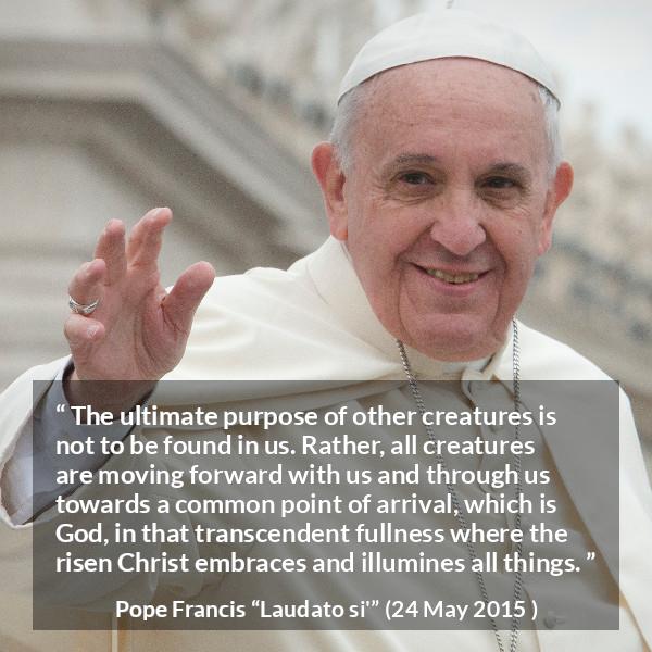 Pope Francis quote about God from Laudato si' - The ultimate purpose of other creatures is not to be found in us. Rather, all creatures are moving forward with us and through us towards a common point of arrival, which is God, in that transcendent fullness where the risen Christ embraces and illumines all things.