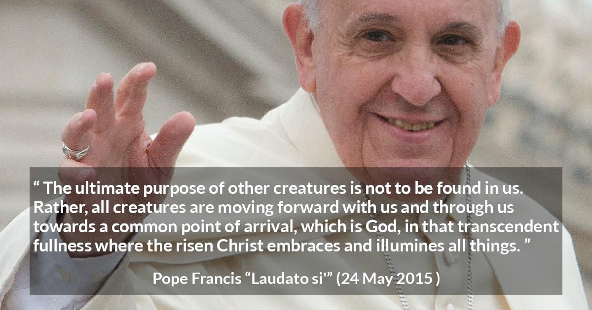 Pope Francis quote about God from Laudato si' - The ultimate purpose of other creatures is not to be found in us. Rather, all creatures are moving forward with us and through us towards a common point of arrival, which is God, in that transcendent fullness where the risen Christ embraces and illumines all things.