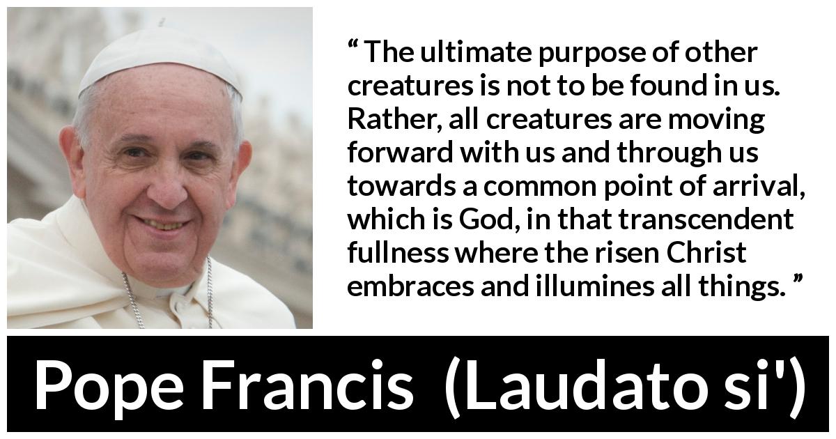 Pope Francis quote about God from Laudato si' - The ultimate purpose of other creatures is not to be found in us. Rather, all creatures are moving forward with us and through us towards a common point of arrival, which is God, in that transcendent fullness where the risen Christ embraces and illumines all things.