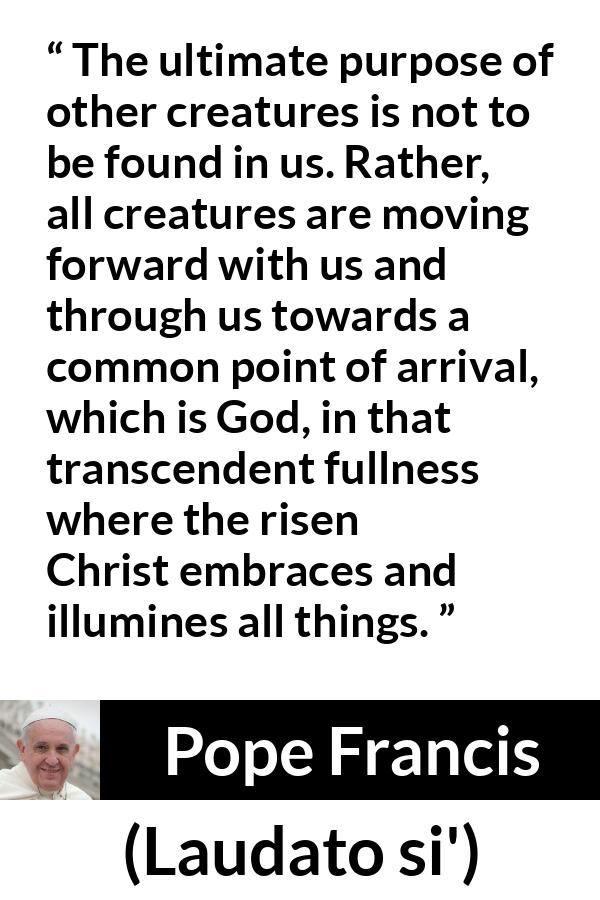 Pope Francis quote about God from Laudato si' - The ultimate purpose of other creatures is not to be found in us. Rather, all creatures are moving forward with us and through us towards a common point of arrival, which is God, in that transcendent fullness where the risen Christ embraces and illumines all things.