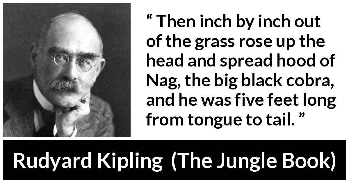 Rudyard Kipling quote about fear from The Jungle Book - Then inch by inch out of the grass rose up the head and spread hood of Nag, the big black cobra, and he was five feet long from tongue to tail.