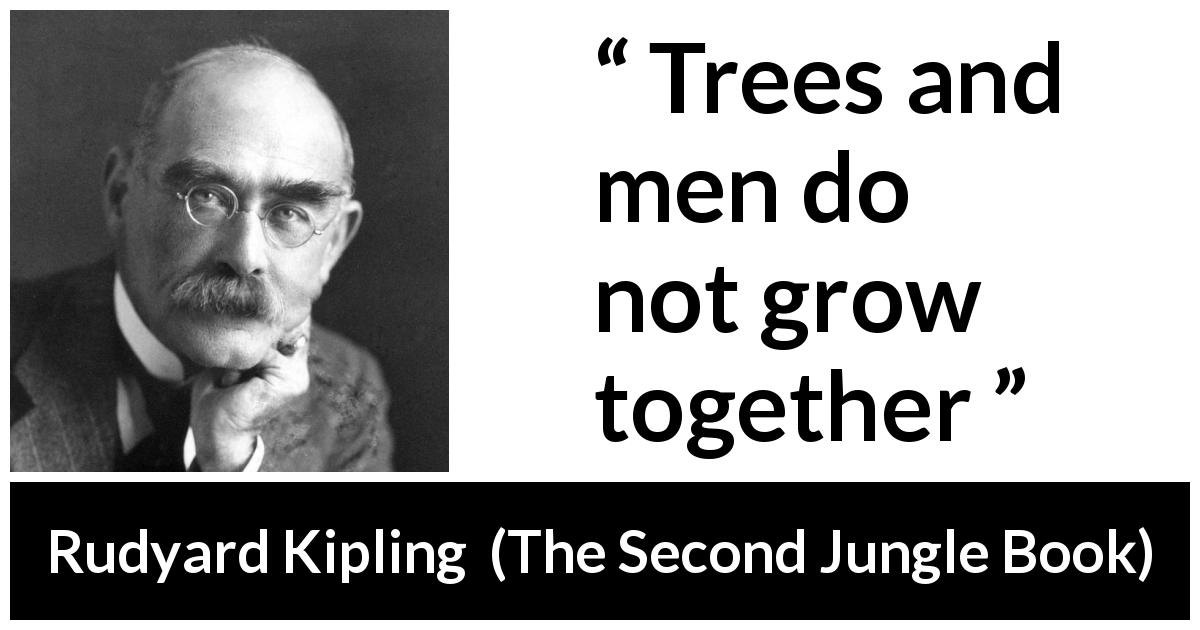 Rudyard Kipling quote about men from The Second Jungle Book - Trees and men do not grow together
