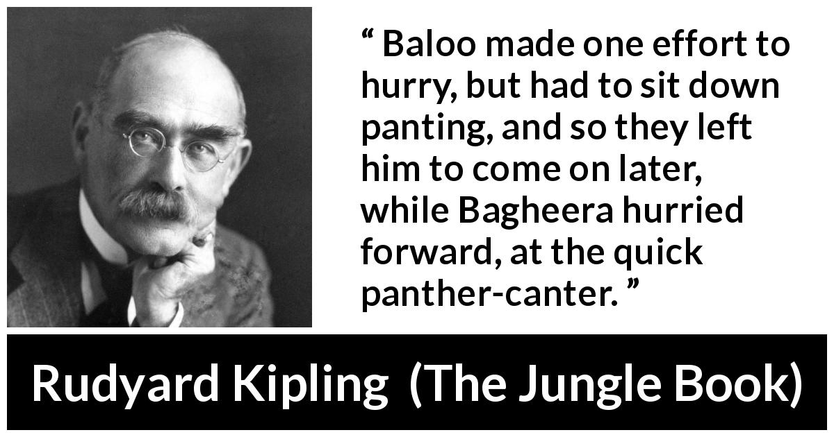 Rudyard Kipling quote about speed from The Jungle Book - Baloo made one effort to hurry, but had to sit down panting, and so they left him to come on later, while Bagheera hurried forward, at the quick panther-canter.