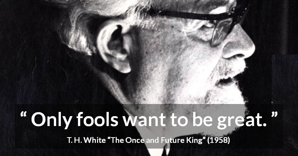 T. H. White quote about stupidity from The Once and Future King - Only fools want to be great.