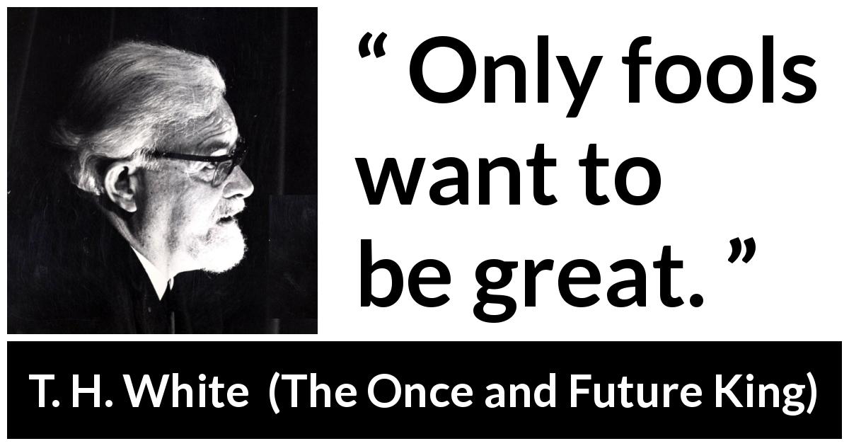 T. H. White quote about stupidity from The Once and Future King - Only fools want to be great.