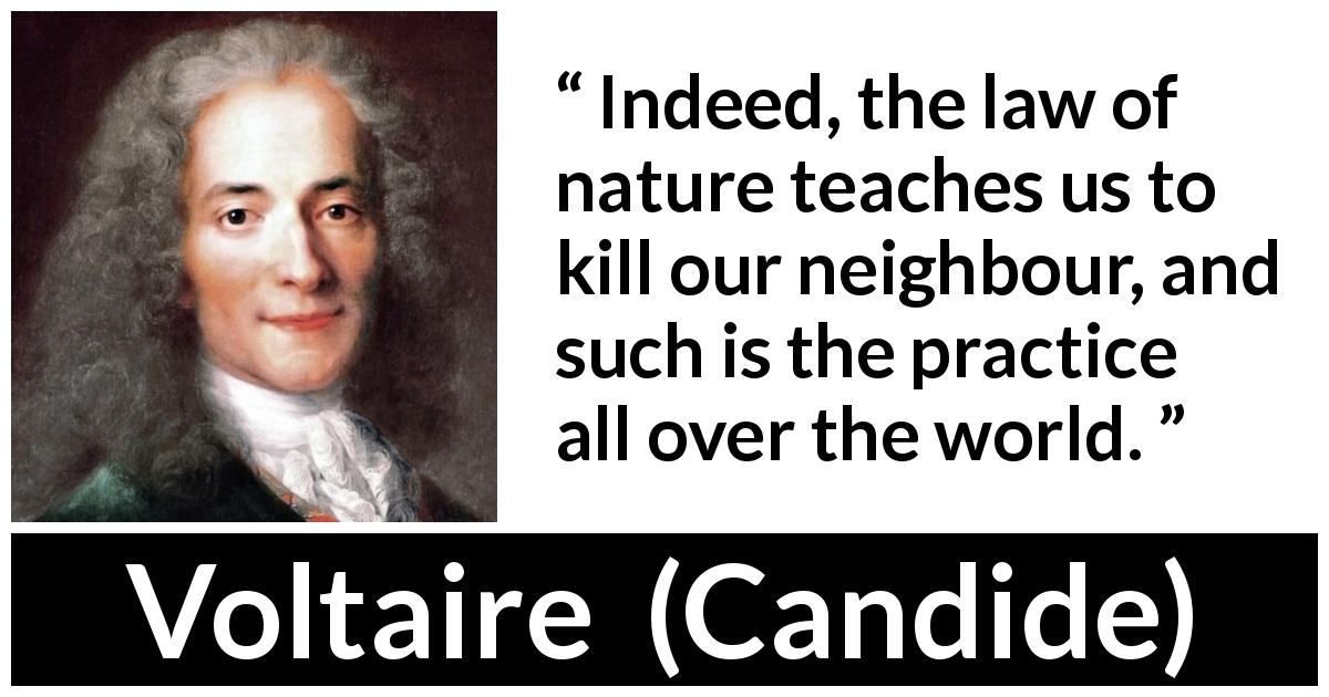 Voltaire quote about killing from Candide - Indeed, the law of nature teaches us to kill our neighbour, and such is the practice all over the world.